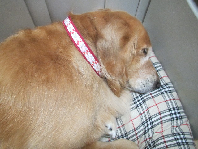 ファイル 2927-5.jpg