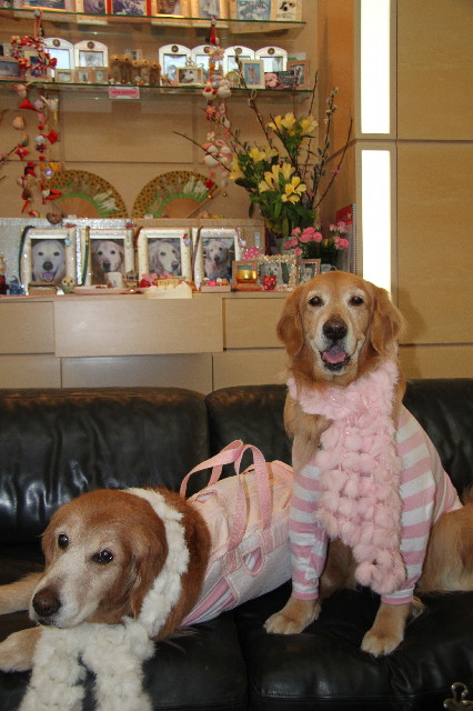 ファイル 2929-1.jpg