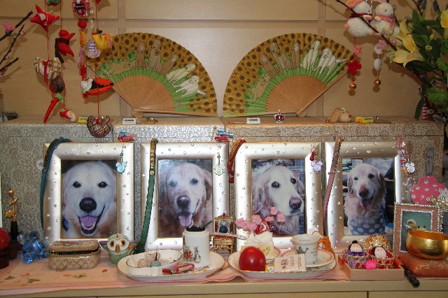 ファイル 2929-5.jpg