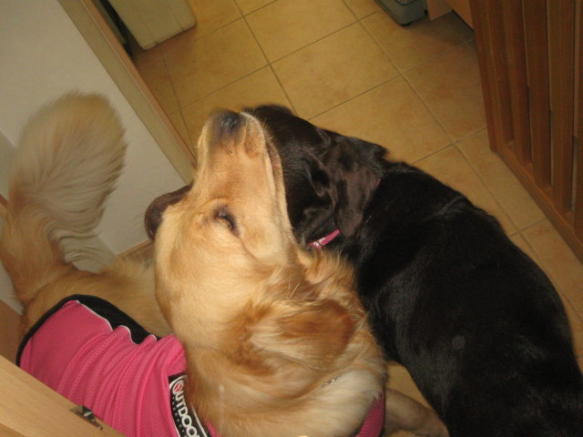 ファイル 293-2.jpg