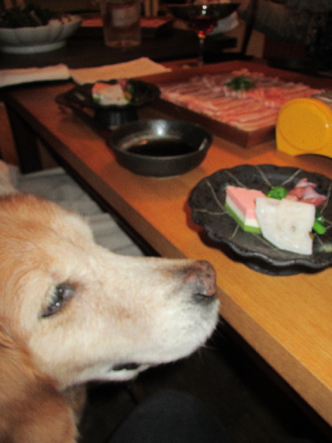 ファイル 2930-2.jpg