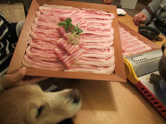 ファイル 2930-4.jpg