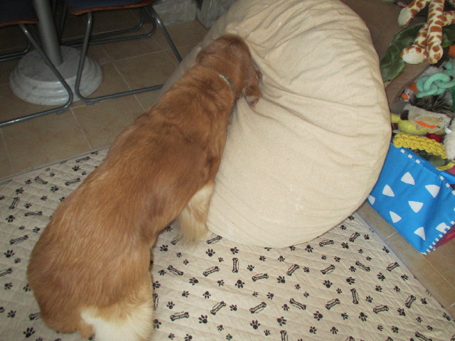 ファイル 2931-5.jpg