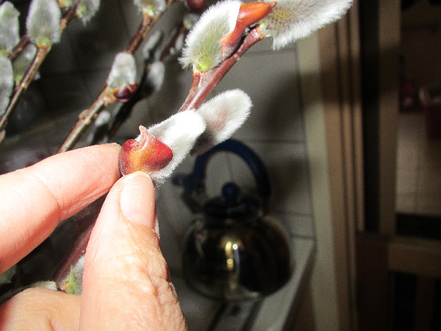 ファイル 2933-5.jpg