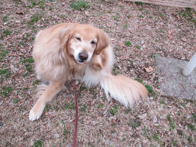 ファイル 2935-3.jpg