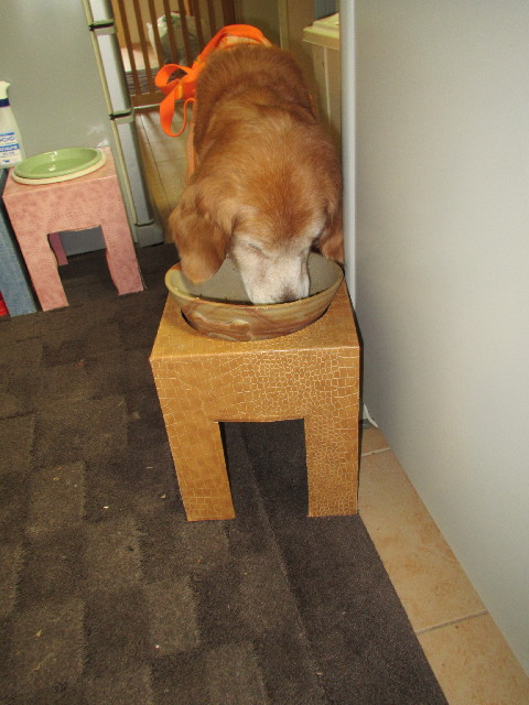 ファイル 2935-5.jpg