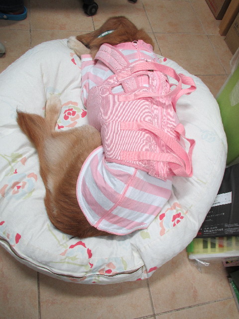 ファイル 2936-2.jpg