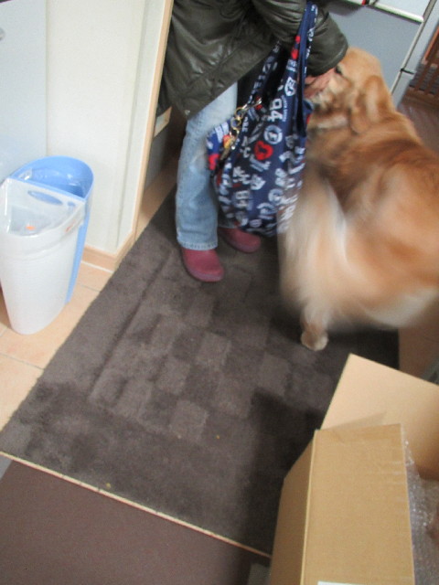 ファイル 2937-4.jpg