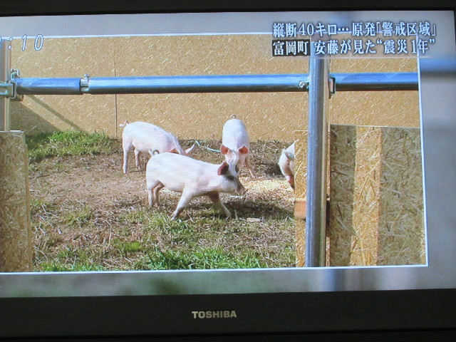 ファイル 2939-3.jpg