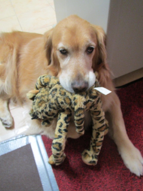 ファイル 2941-4.jpg