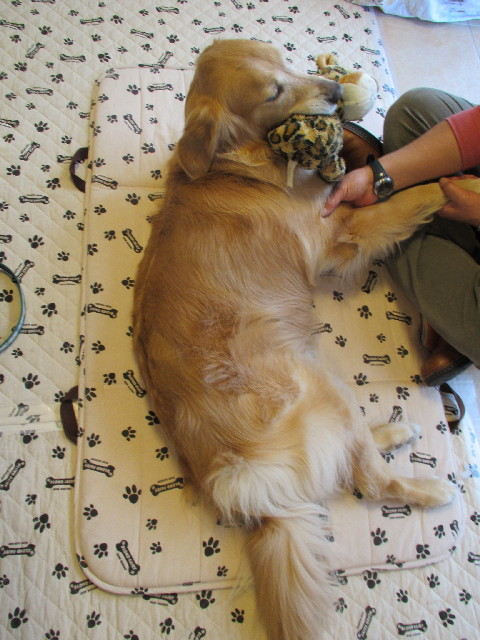 ファイル 2942-2.jpg