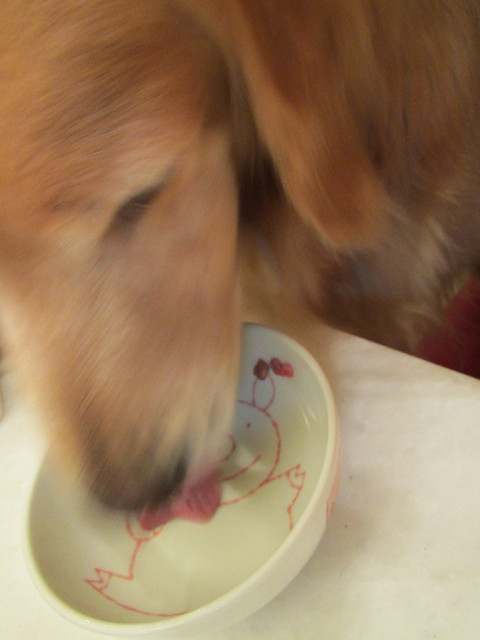 ファイル 2942-4.jpg