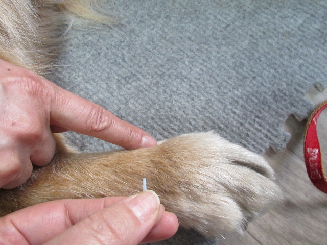 ファイル 2943-3.jpg