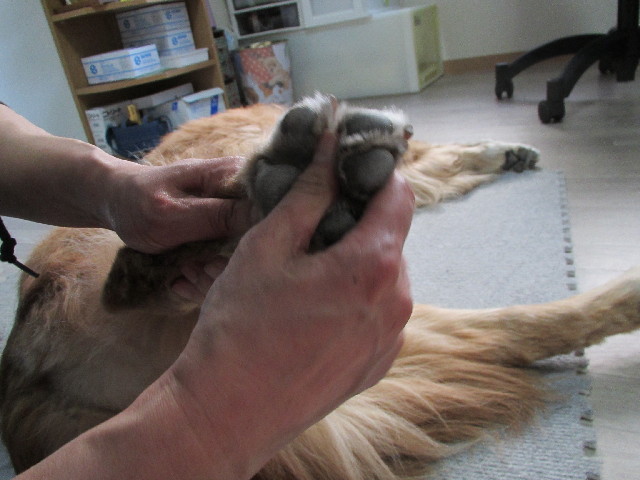 ファイル 2943-5.jpg