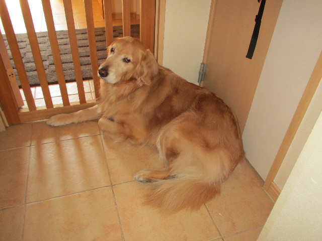 ファイル 2946-1.jpg