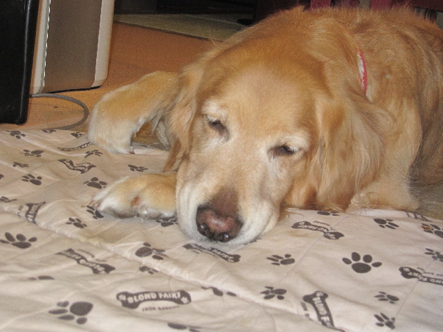 ファイル 2946-3.jpg