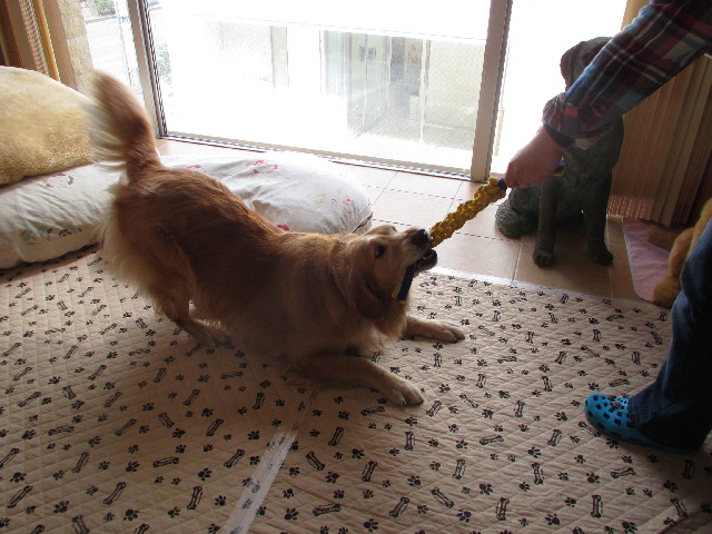 ファイル 2946-5.jpg