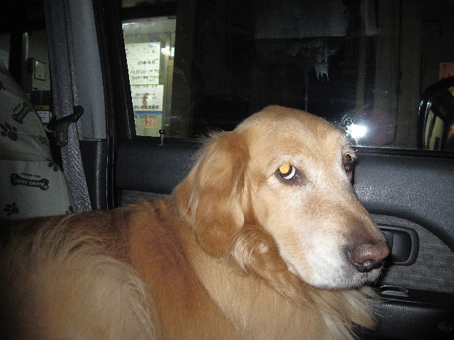 ファイル 2948-1.jpg