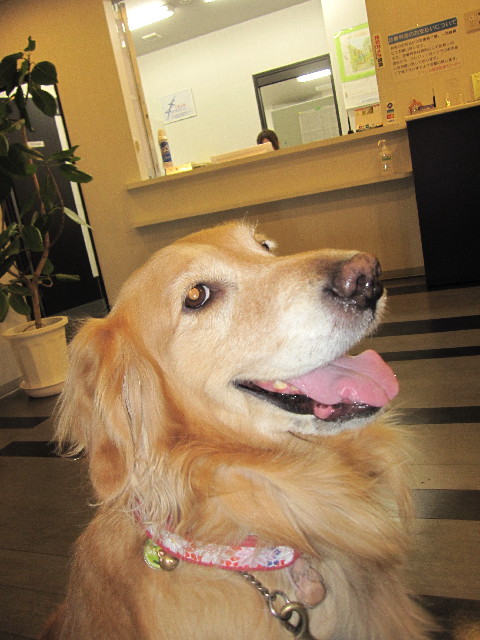 ファイル 2948-3.jpg