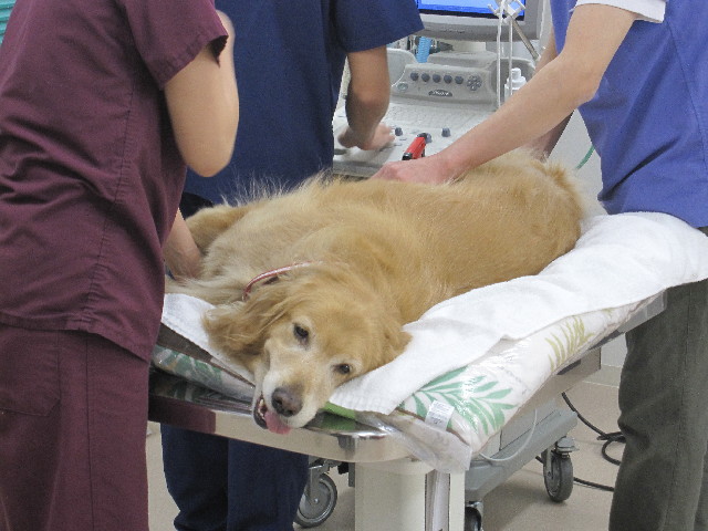 ファイル 2948-4.jpg