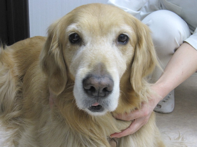 ファイル 2948-5.jpg