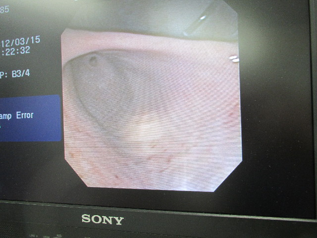 ファイル 2949-1.jpg