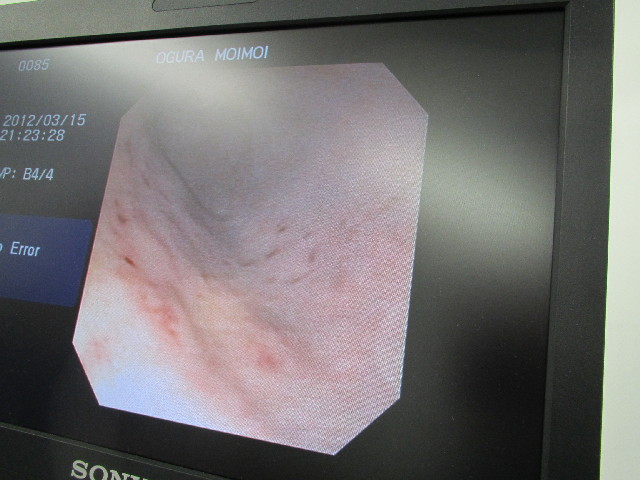 ファイル 2949-2.jpg