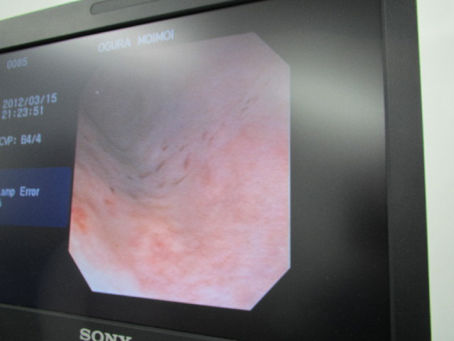 ファイル 2949-3.jpg