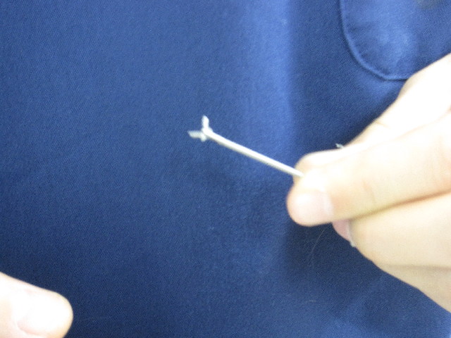 ファイル 2949-4.jpg