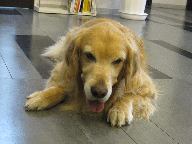 ファイル 2949-5.jpg