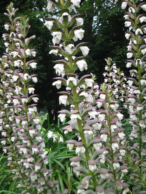 ファイル 295-2.jpg