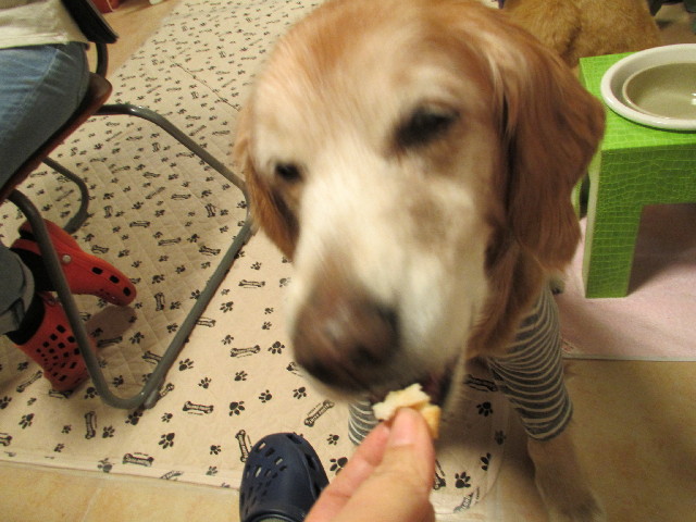 ファイル 2950-1.jpg