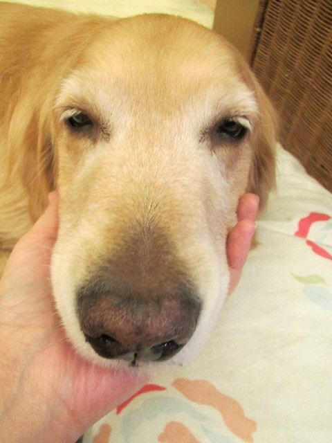 ファイル 2950-2.jpg