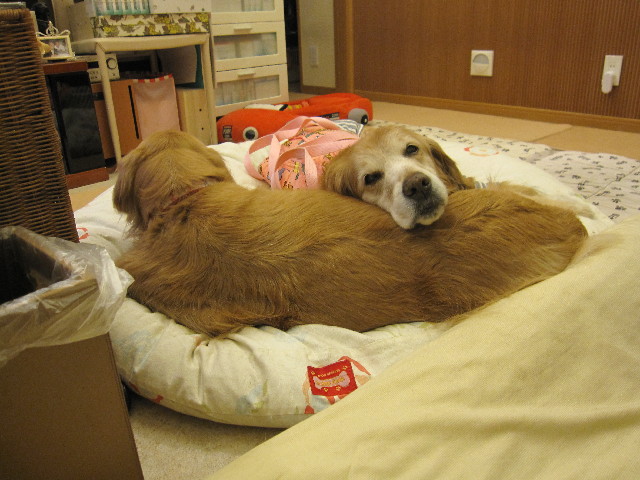 ファイル 2950-3.jpg