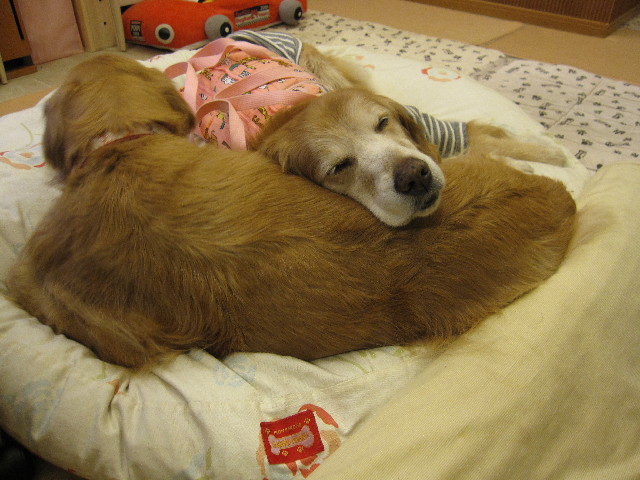 ファイル 2950-4.jpg