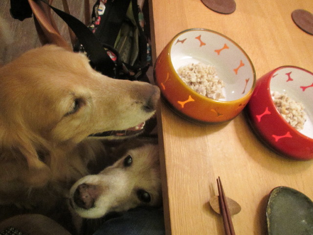 ファイル 2957-3.jpg