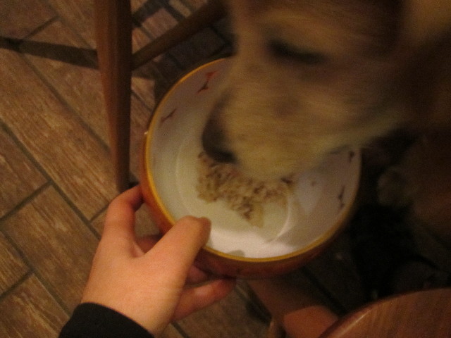 ファイル 2957-4.jpg