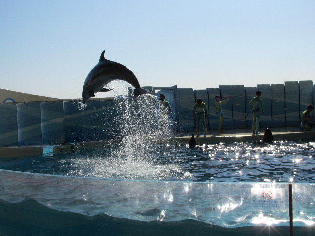 ファイル 2959-2.jpg