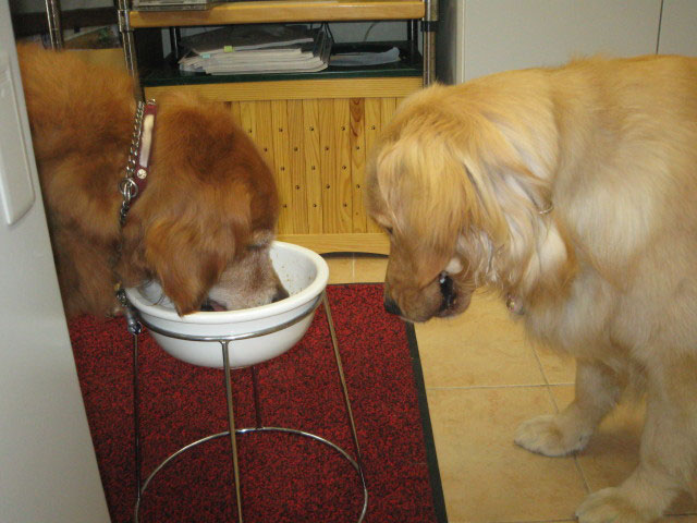 ファイル 296-2.jpg