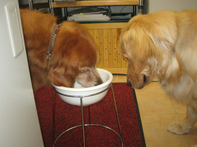 ファイル 296-3.jpg