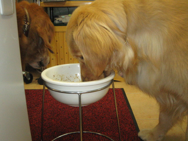 ファイル 296-5.jpg