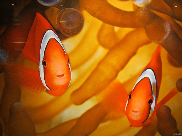 ファイル 2960-3.jpg