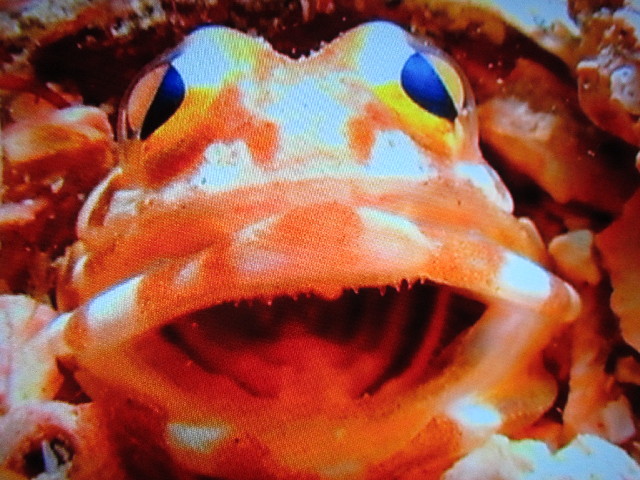 ファイル 2960-5.jpg