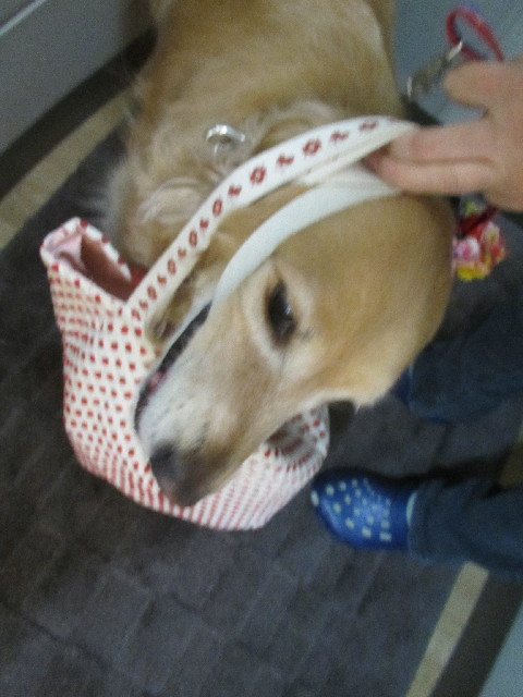 ファイル 2961-2.jpg