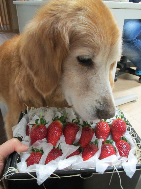 ファイル 2961-4.jpg