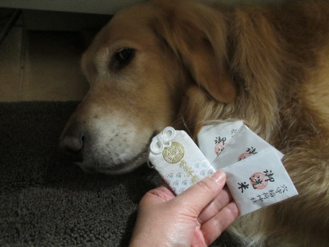 ファイル 2961-5.jpg