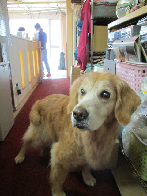 ファイル 2962-1.jpg