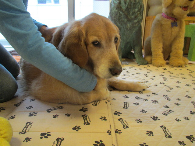 ファイル 2962-5.jpg