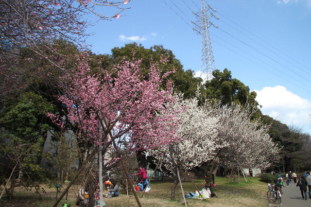 ファイル 2965-2.jpg