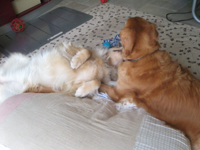 ファイル 297-1.jpg